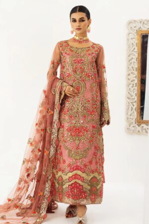 Mashq Qfd 0055 Raj Kumari