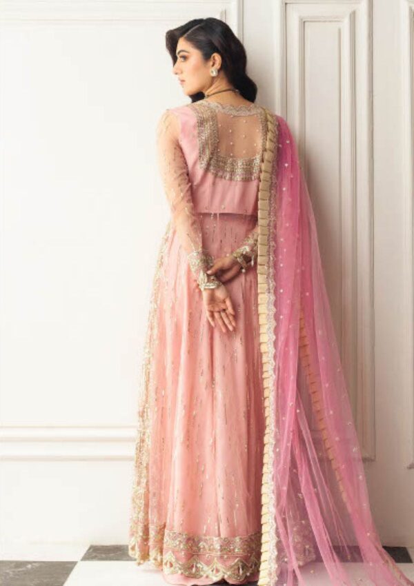 Mushq Aura Debut Wedding Msq24 08 Amaranth Hemline Formal Collection - Image 4