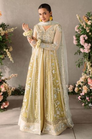 Mushq Mm24 06 Hira Mastani Evening Formal Collection