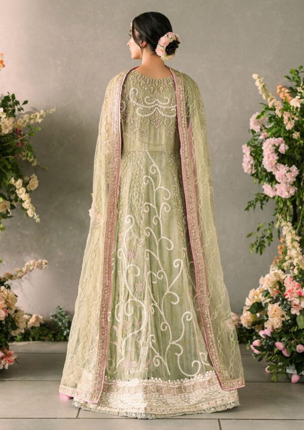 Mushq Mm24 10 Namar Mastani Evening Formal Collection - Image 2