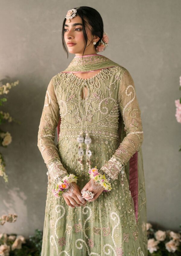 Mushq Mm24 10 Namar Mastani Evening Formal Collection - Image 3