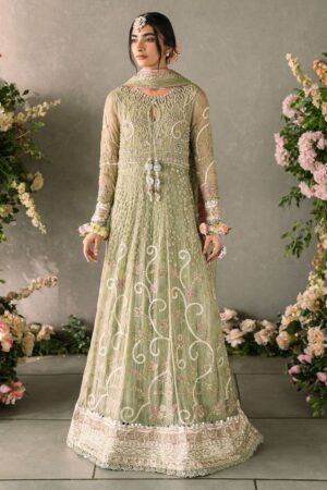 Mushq Mm24 10 Namar Mastani Evening Formal Collection