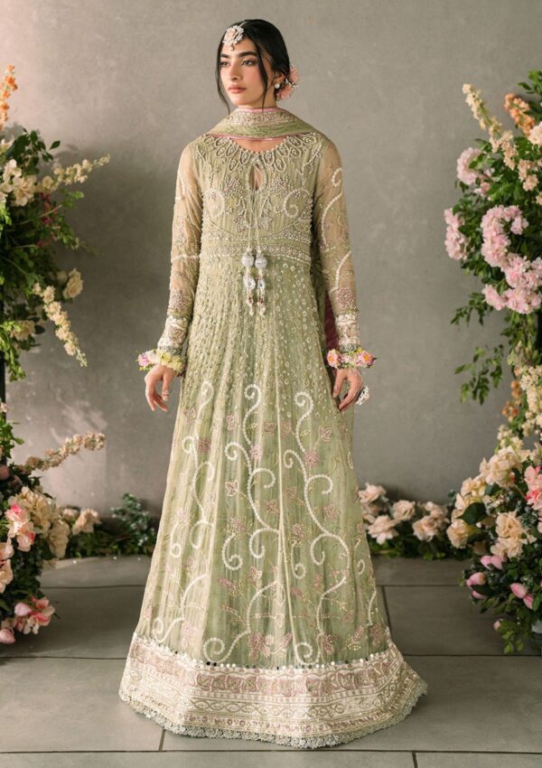 Mushq Mm24 10 Namar Mastani Evening Formal Collection