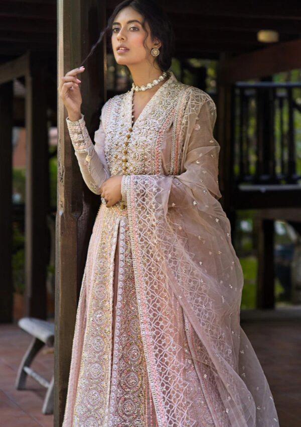 Mushq Mr24 104 Anika Roohi Formal Collection - Image 2