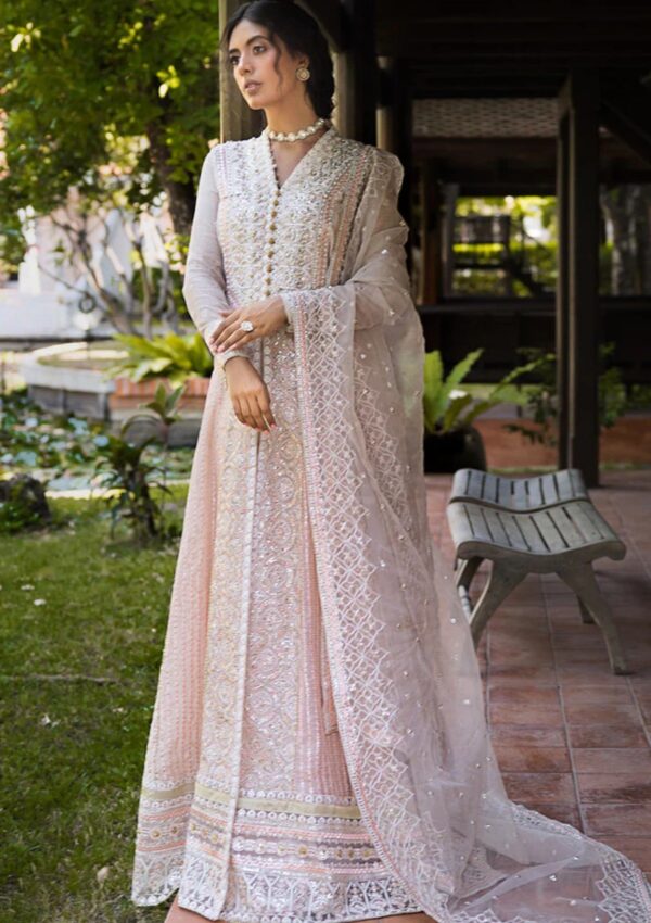 Mushq Mr24 104 Anika Roohi Formal Collection - Image 3