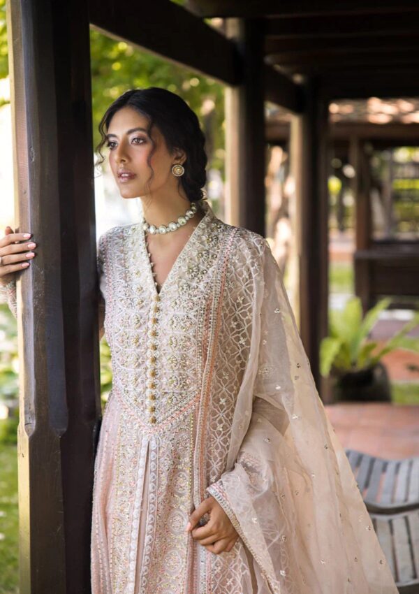 Mushq Mr24 104 Anika Roohi Formal Collection - Image 4