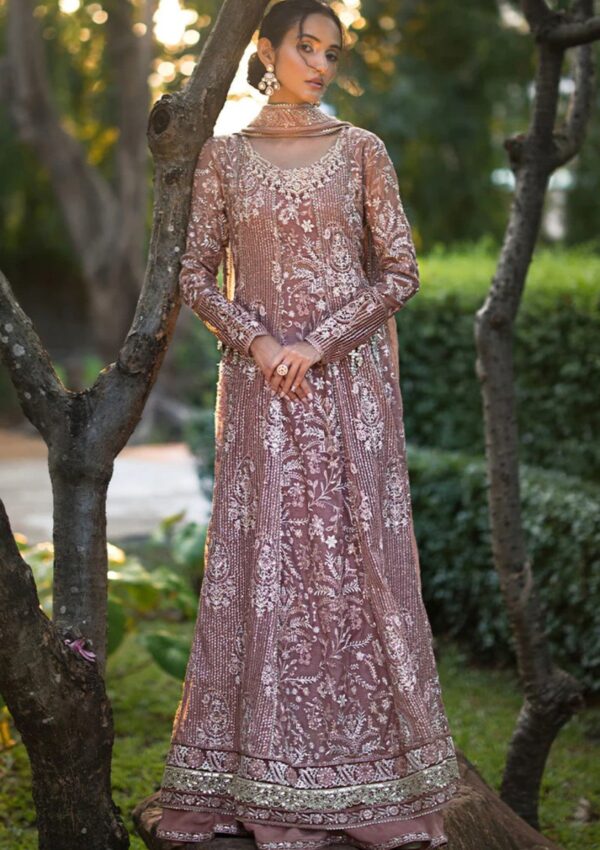 Mushq Mr24 105 Vaniya Roohi Formal Collection - Image 4