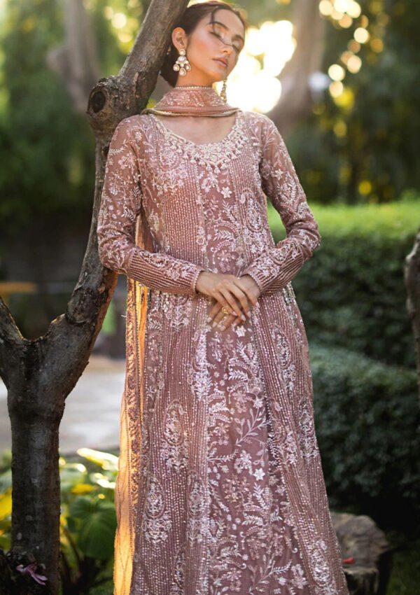 Mushq Mr24 105 Vaniya Roohi Formal Collection - Image 10