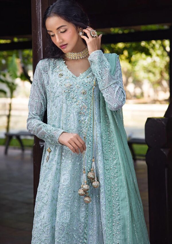 Mushq Mr24 106 Diya Roohi Formal Collection - Image 2