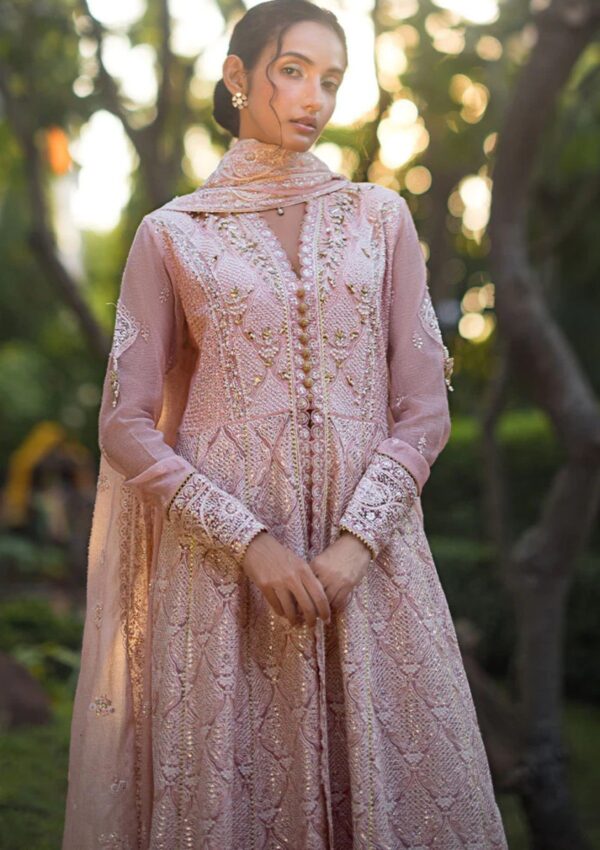 Mushq Mr24 107 Aanya Roohi Formal Collection - Image 2