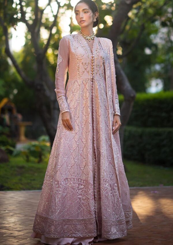 Mushq Mr24 107 Aanya Roohi Formal Collection - Image 3