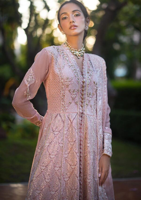 Mushq Mr24 107 Aanya Roohi Formal Collection - Image 6