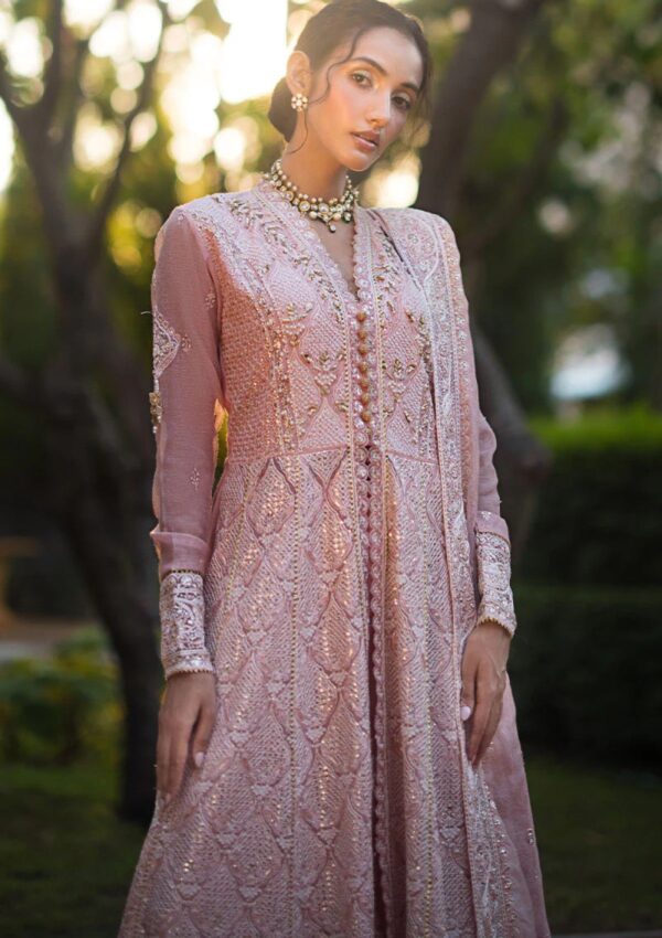 Mushq Mr24 107 Aanya Roohi Formal Collection - Image 8