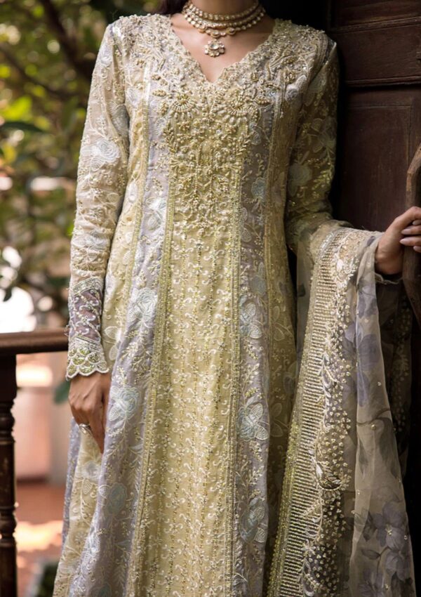 Mushq Mr24 108 Riya Roohi Formal Collection - Image 4