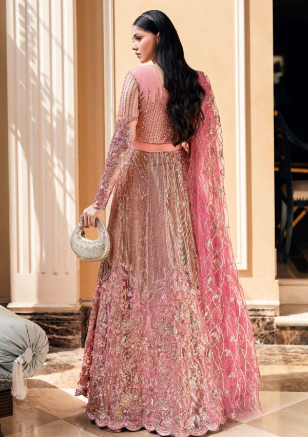Mushq Wedding Mmt25 04 Bonafide Mann Mein Tu