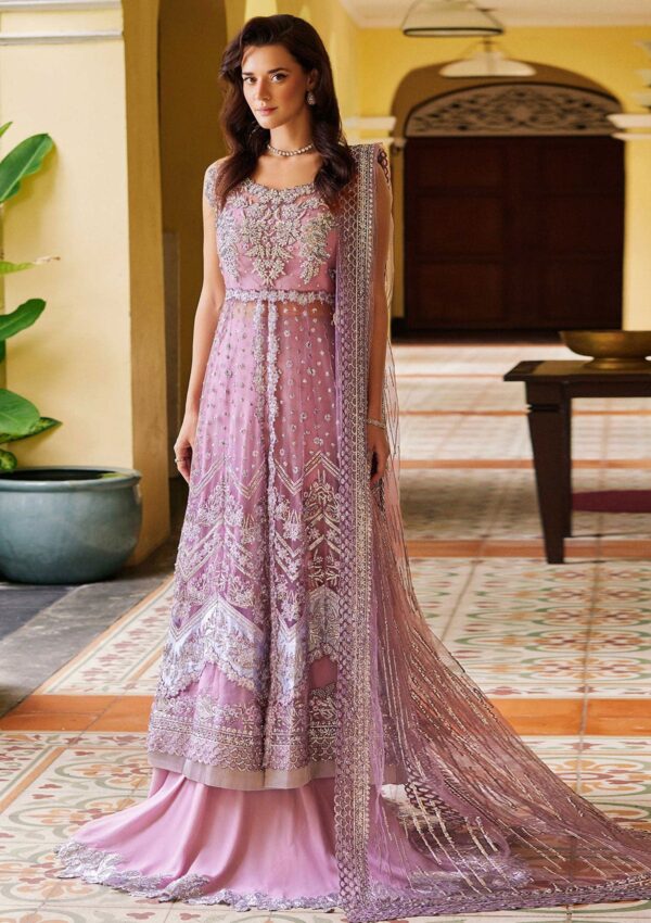 Mushq Wedding Mw 2 Enchant Stardust