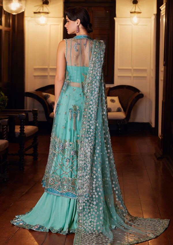 Mushq Wedding Mw 3 Astrum Stardust