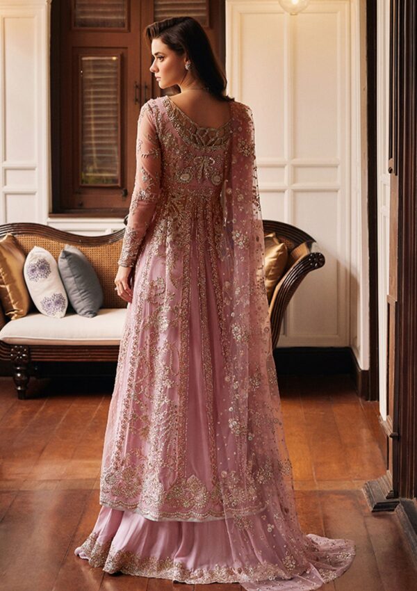 Mushq Wedding Mw 4 Luster Stardust