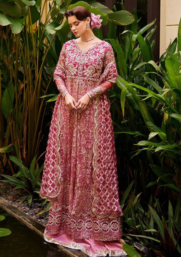 Mushq Wedding Mw 7 Cupid Stardust