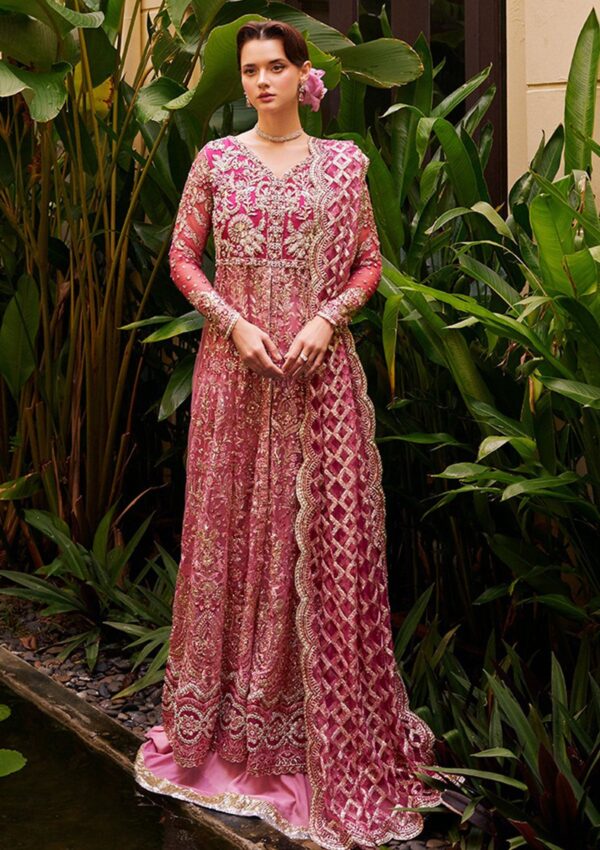 Mushq Wedding Mw 7 Cupid Stardust