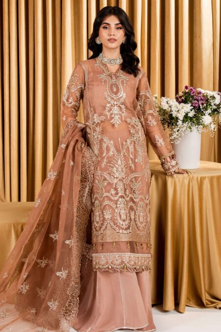Neeshay Festive Shireen Dastan