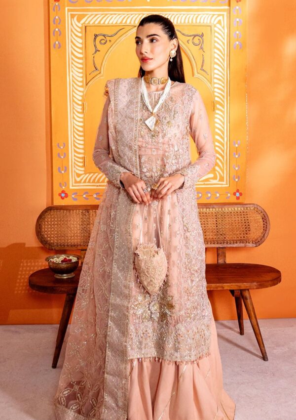 Neeshay Wedding Formals 24 D 4 Ghazal Pari Naaz Formal Collection