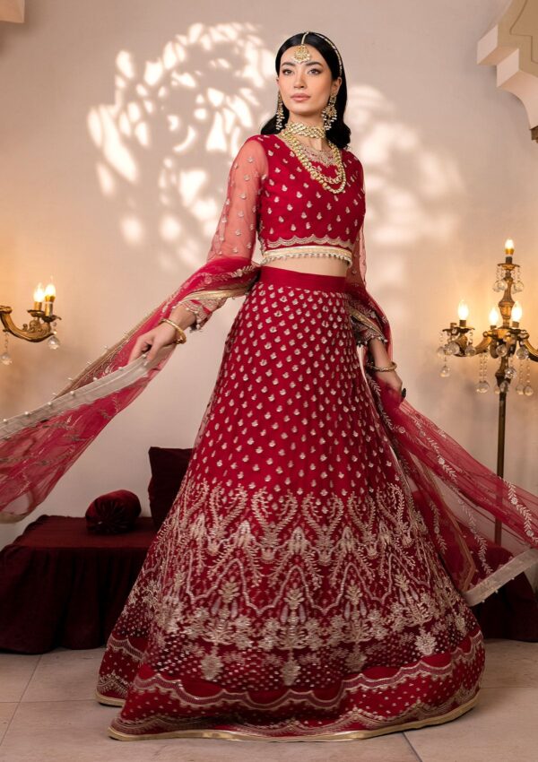 Neeshay Wedding Rangrezah Parinaaz