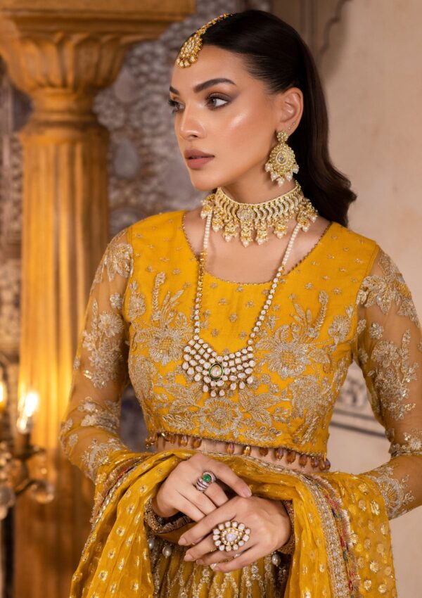 Neeshay Wedding Zareen Parinaaz