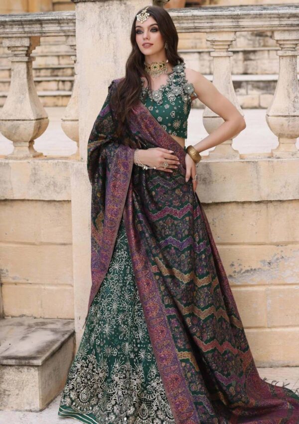 Noor By Saadia Asad Wedding Nsk 1 Kaani