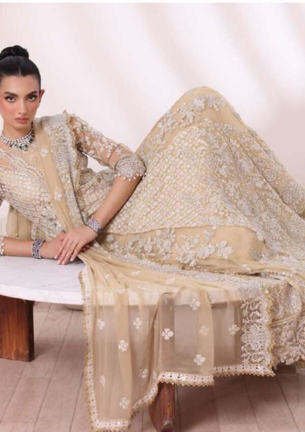 Noor Chiffon De Luxe Ncd24 01 Nura Saadia Asad Formal Collection - Image 4