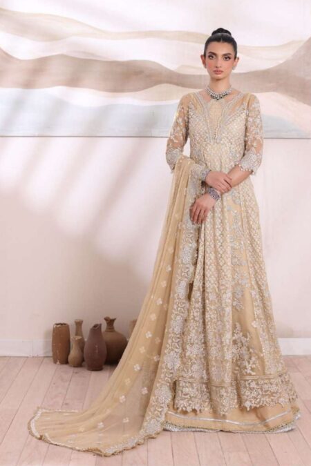 Noor Chiffon De Luxe Ncd24 01 Nura Saadia Asad