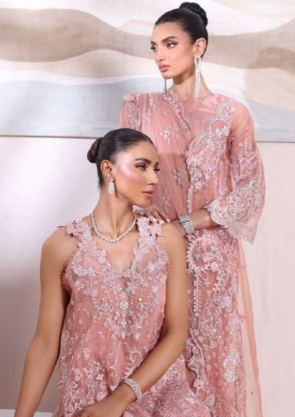 Noor Chiffon De Luxe Ncd24 06 Vera Saadia Asad Formal Collection - Image 4