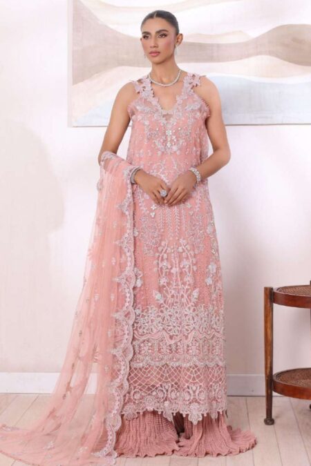Noor Chiffon De Luxe Ncd24 06 Vera Saadia Asad