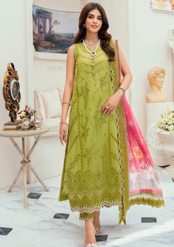 Noor Chiffon Laserkari D 1 Saadia Asad