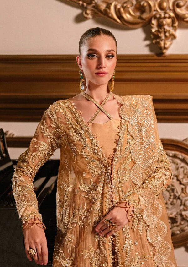 Parishay Ambre Cindrella Luxury 24 Formal Collection - Image 2