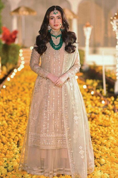 Qalamkar Mt 07 Abir Mastani