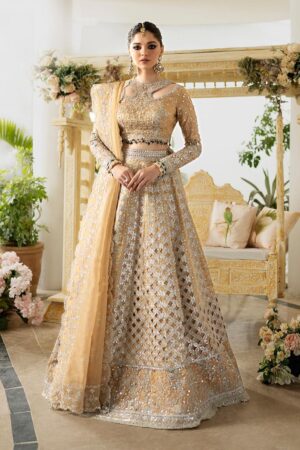 Qalamkar Wedding Dn 01 Imaan Dilnaz