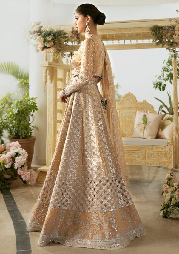 Qalamkar Wedding Dn 01 Imaan Dilnaz