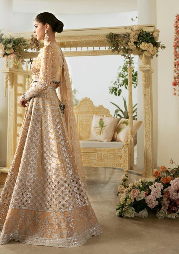Qalamkar Wedding Dn 01 Imaan Dilnaz