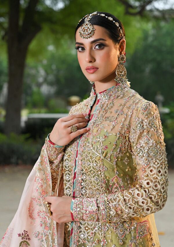 Qalamkar Wedding Formals Qs24 07 Halena Singhar Formal Collection - Image 2