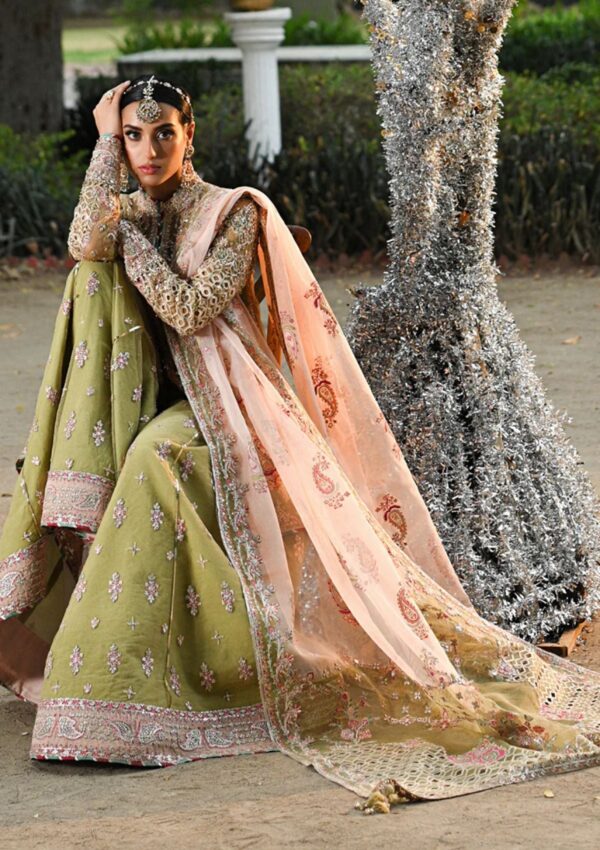 Qalamkar Wedding Formals Qs24 07 Halena Singhar Formal Collection - Image 3