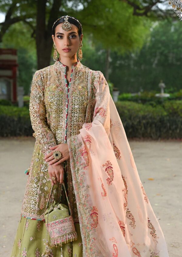 Qalamkar Wedding Formals Qs24 07 Halena Singhar Formal Collection - Image 4