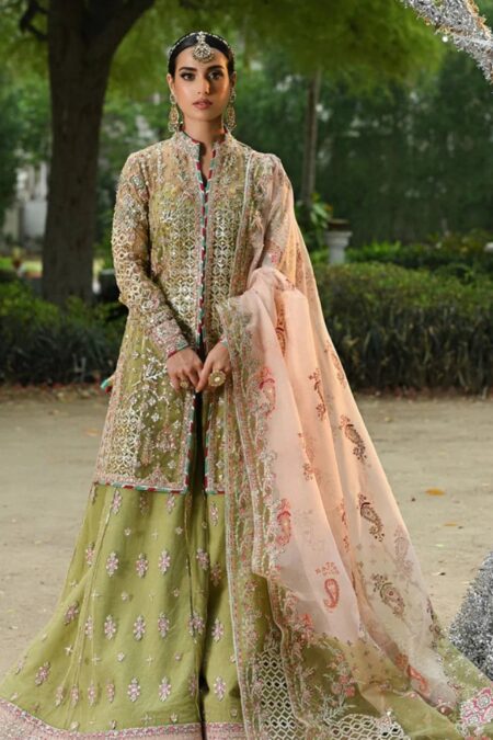 Qalamkar Wedding Formals Qs24 07 Halena Singhar 