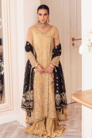 Rang Rasiya Nisha Ritzier