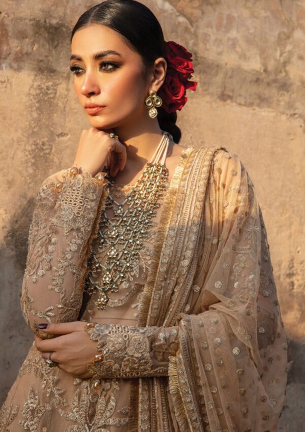 Rang Rasiya Wedding D 7 Zulaykha Shehnaiyan
