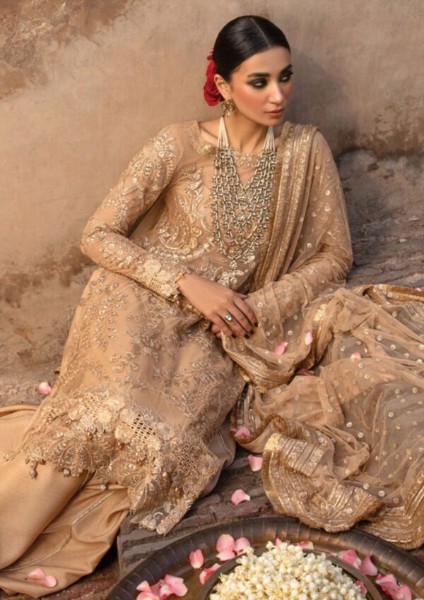 Rang Rasiya Wedding D 7 Zulaykha Shehnaiyan