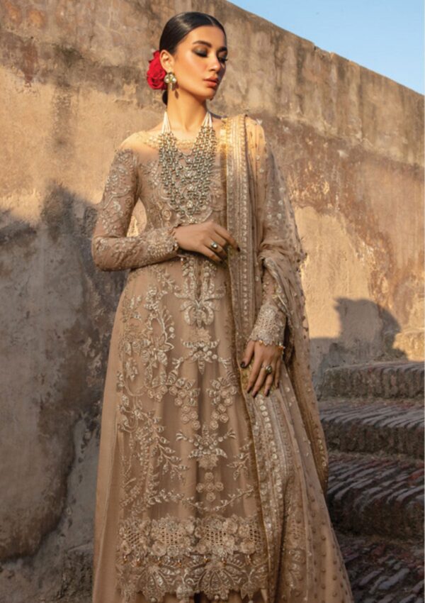 Rang Rasiya Wedding D 7 Zulaykha Shehnaiyan
