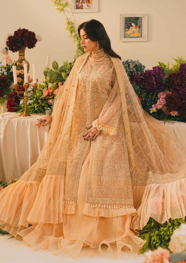 Raum By Sarb E Noor Wedding Rm24 02 Mah Formal Collection - Image 2