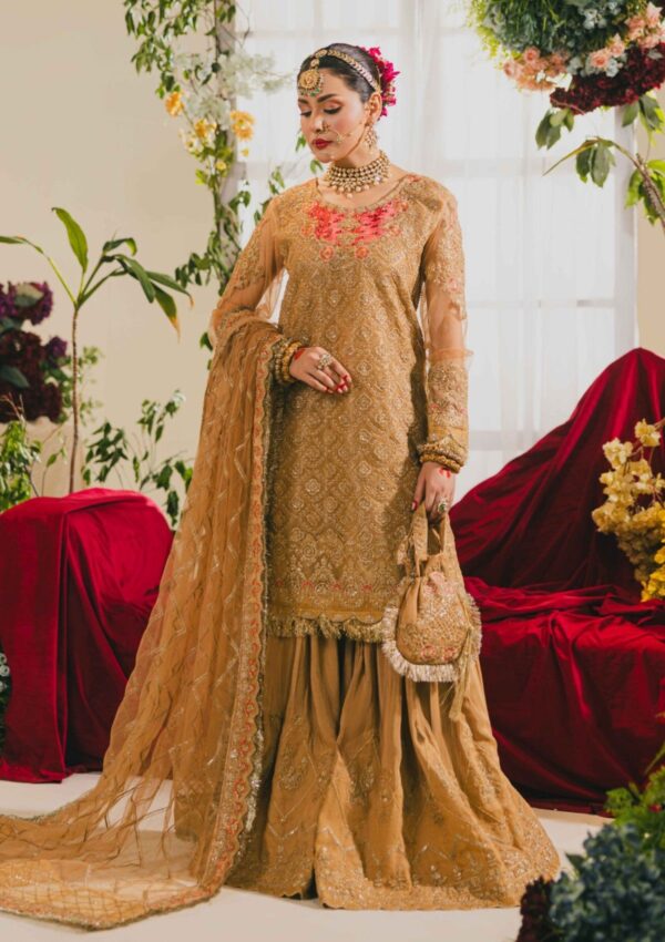 Raum By Sarb E Noor Wedding Rm24 06 Mah Formal Collection - Image 3