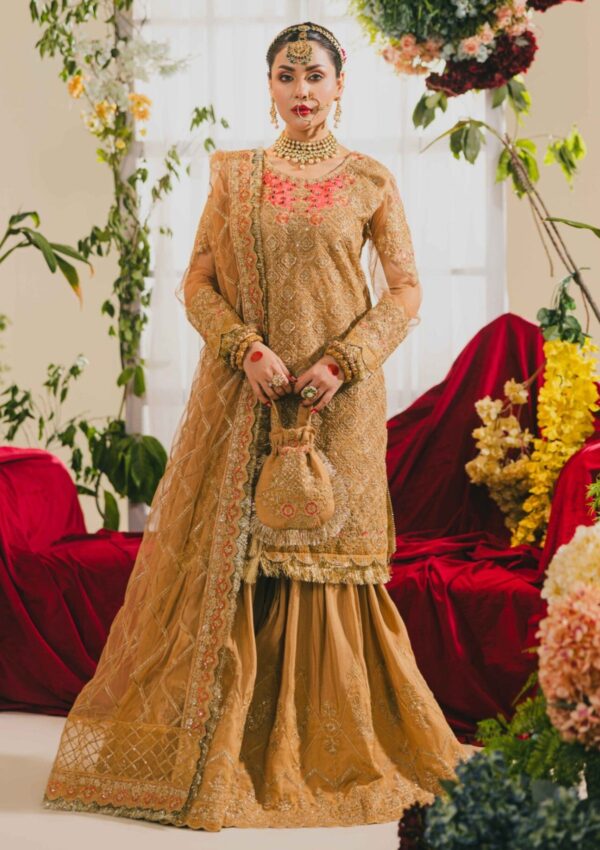 Raum By Sarb E Noor Wedding Rm24 06 Mah Formal Collection